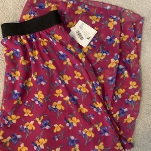 NWT Lularoe Lucy XL